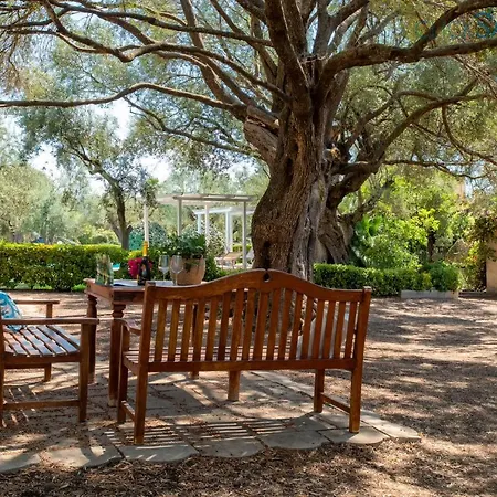 Villa Christiana Del Xv Secolo Con Piscina Ad Uso Esclusivo